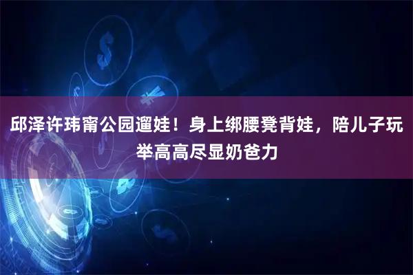 邱泽许玮甯公园遛娃！身上绑腰凳背娃，陪儿子玩举高高尽显奶爸力