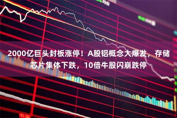 2000亿巨头封板涨停!A股铝概念大爆发,存储芯片集体下跌,10倍牛股闪崩跌停