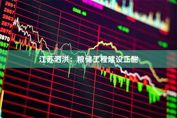 江苏泗洪：粮储工程建设正酣